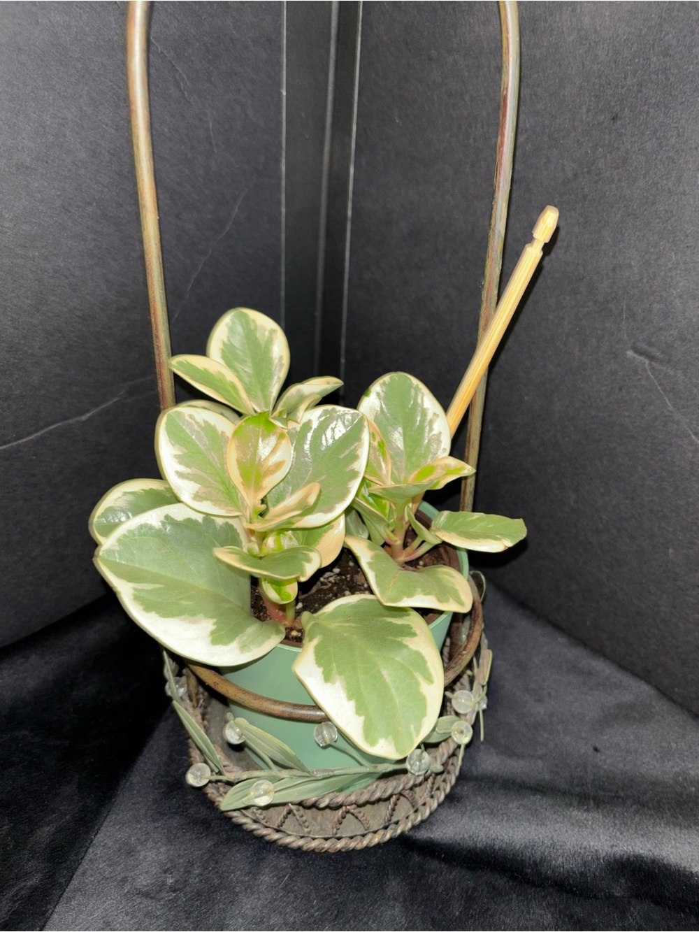 Decorative Green Leaf Metal Hanging Basket